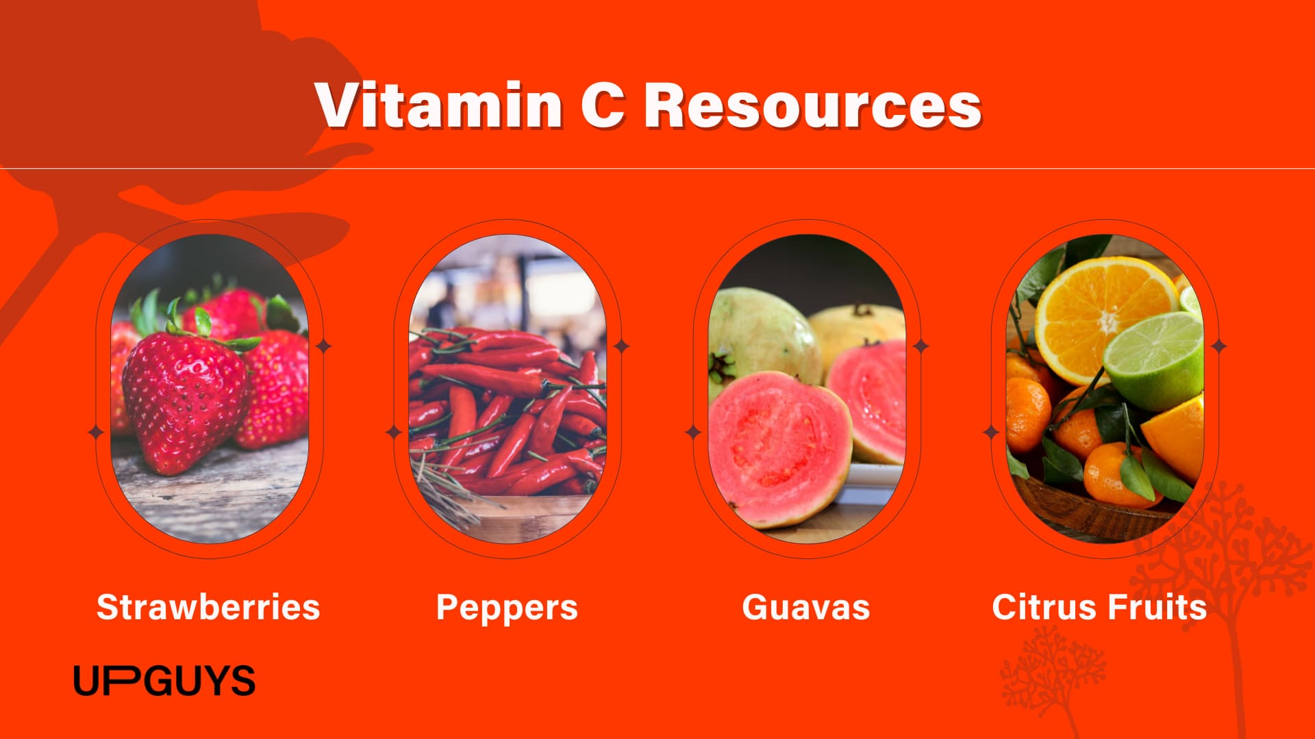 The 20 Best Foods For Hair Growth UPGUYS